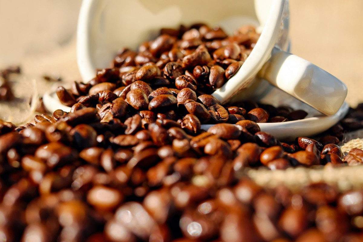 咖啡豆進口報關小插曲，一般貿易進口案例分享