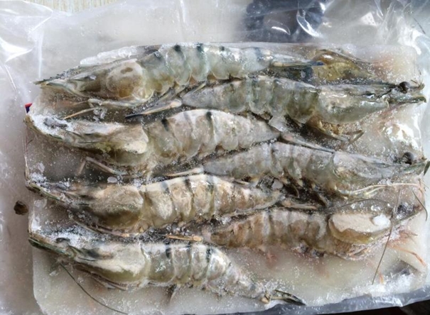 冷凍對蝦進口報關代理操作案例分享