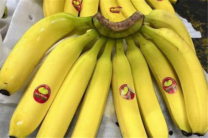 鮮香蕉進口清關【案例分享】