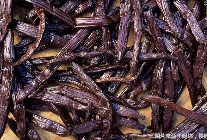 香子蘭豆進口報關到上海浦東機場這樣操作