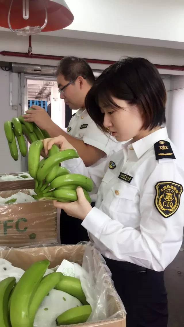 越南香蕉進口報關
