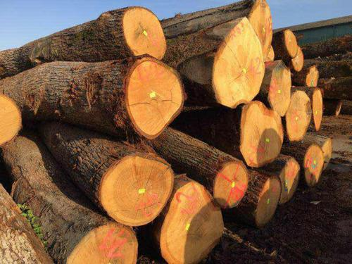 歐洲木材進口清關