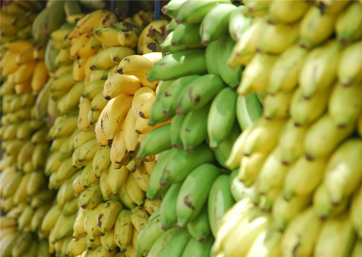 菲律賓進口香蕉報關代理.png